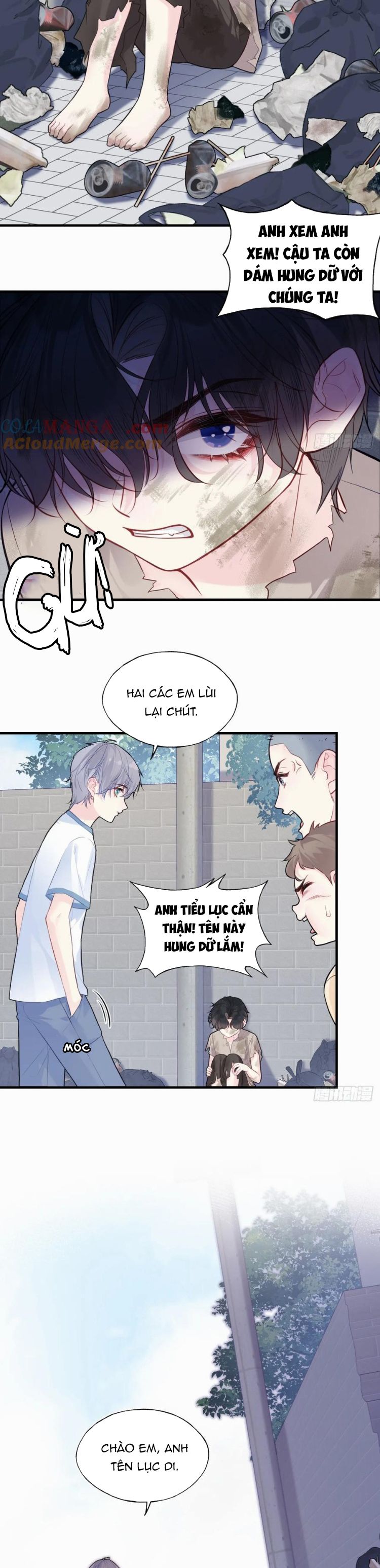 Anh Ấy Chưa Từng Rơi Xuống Chap 86 - Next Chap 87