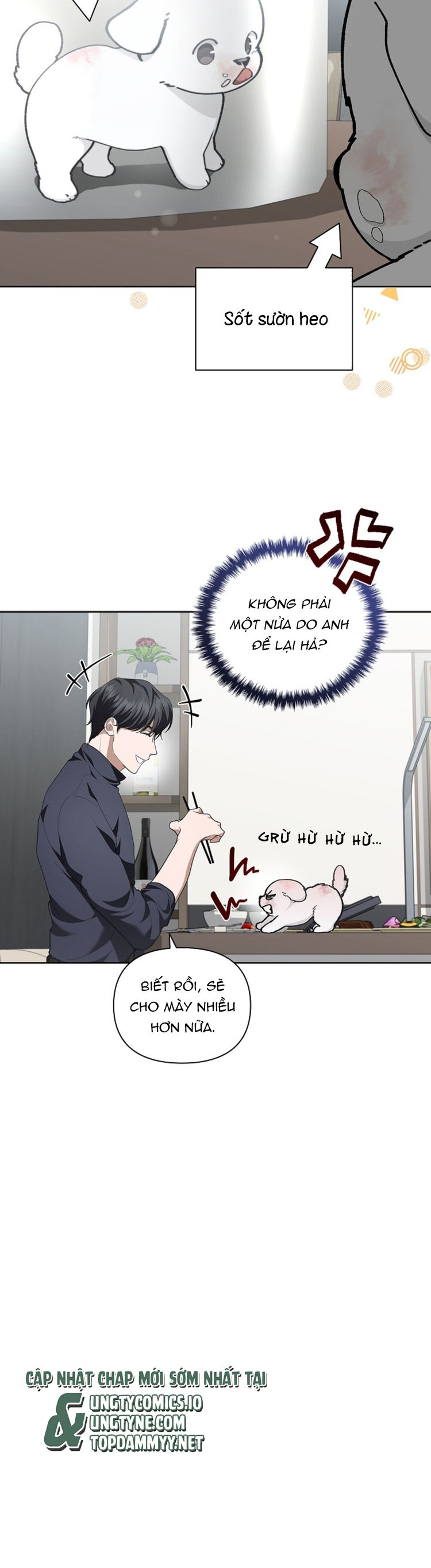 ĐỪNG CHẠM VÀO CÚN CON CỦA TÔI Chapter 12 - Next Chapter 13