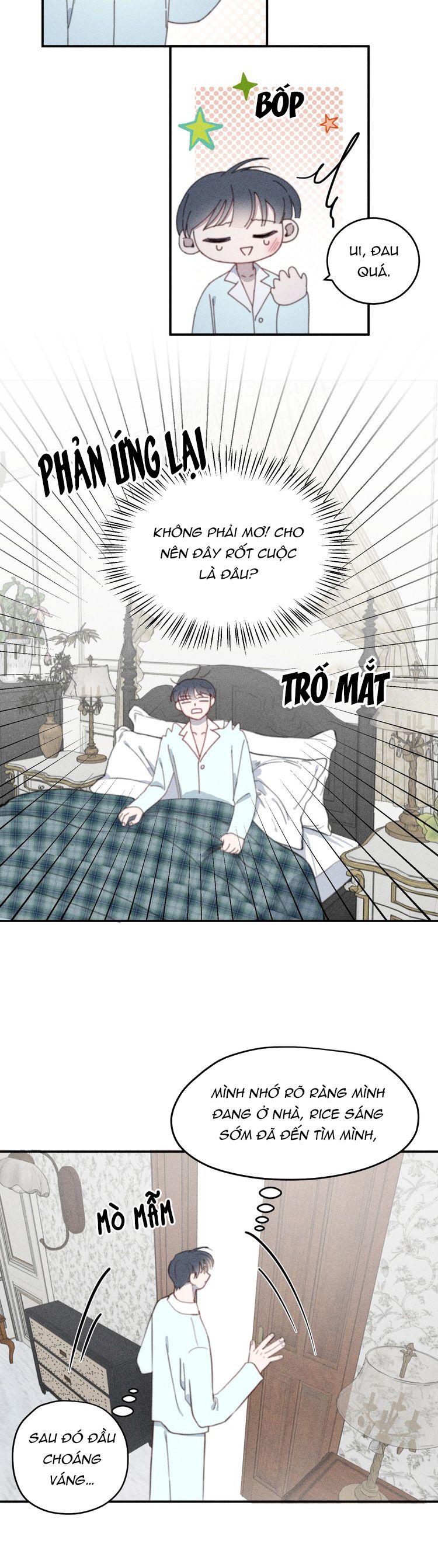 Nghiêm Cấm Đồng Loại Chap 4 - Next Chap 5