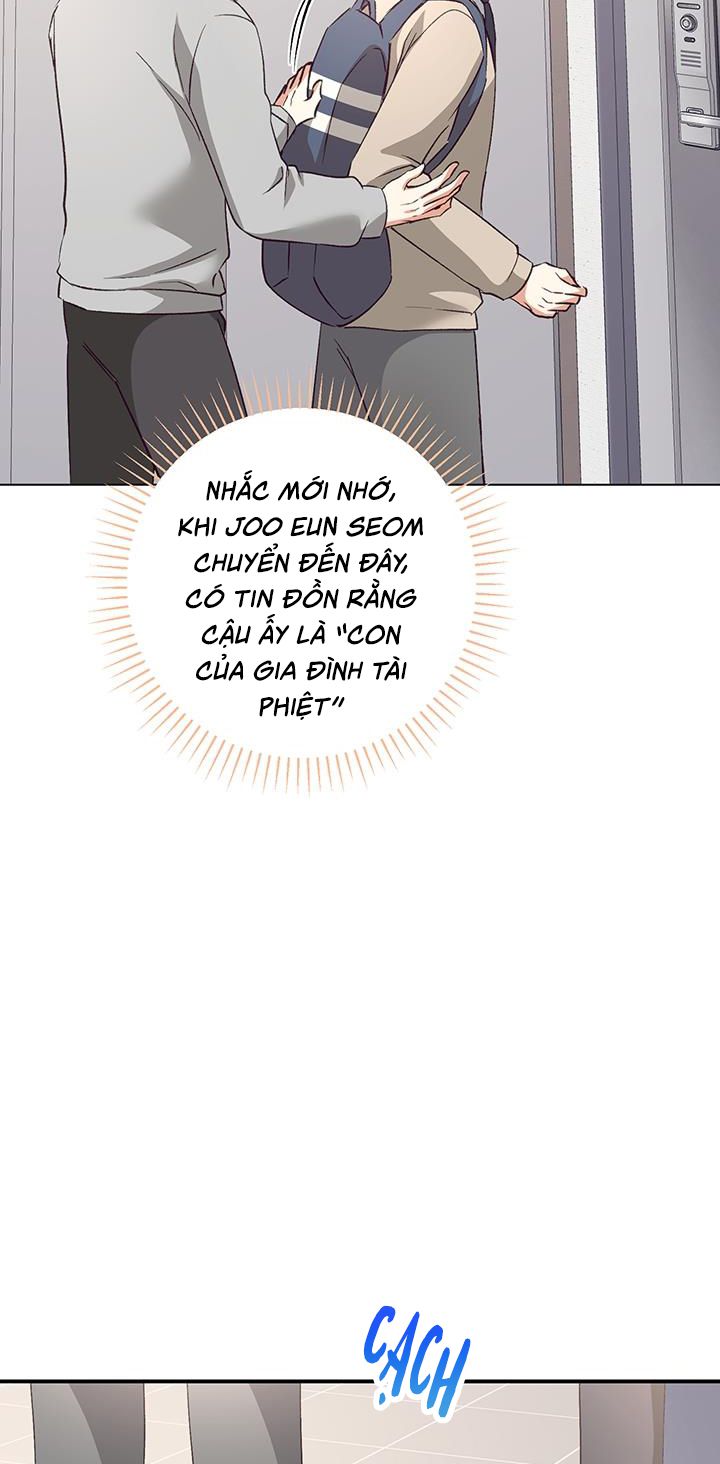 Nhật Ký Quan Sát Bồ Công Anh Chap 6 - Next Chap 7