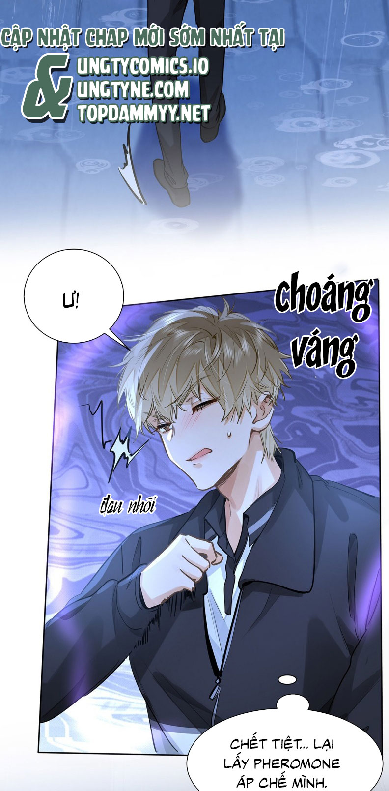 Tôi thích tin tức tố của cậu Chapter 51 - Next Chapter 52