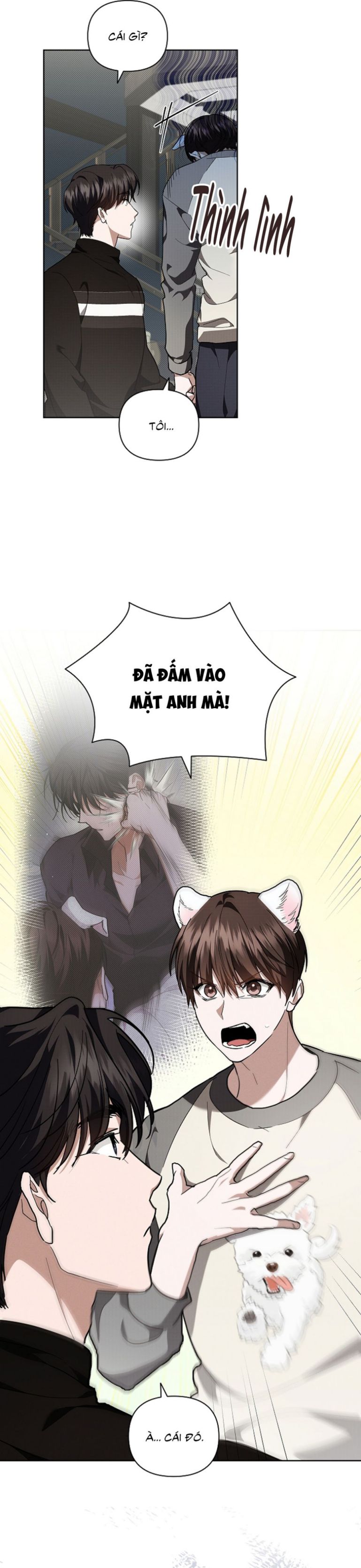 ĐỪNG CHẠM VÀO CÚN CON CỦA TÔI Chapter 17 - Next Chapter 18