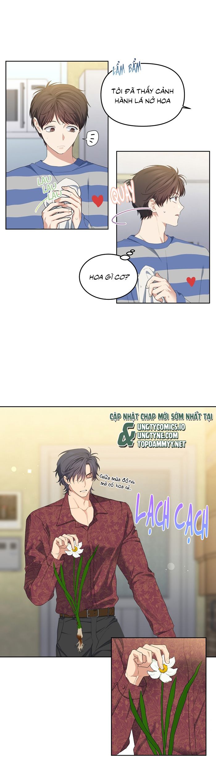 Cherry Cake Chap 15 - Next Chap 16