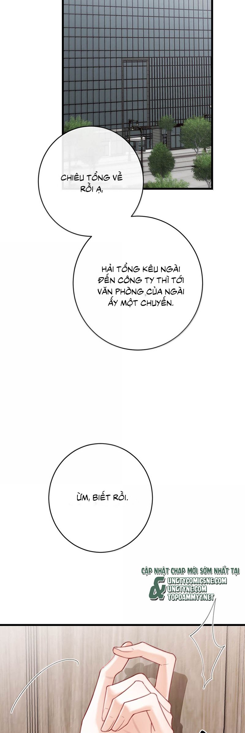 Nồng Đậm Tin Tức Tố Chapter 14 - Next Chap 15