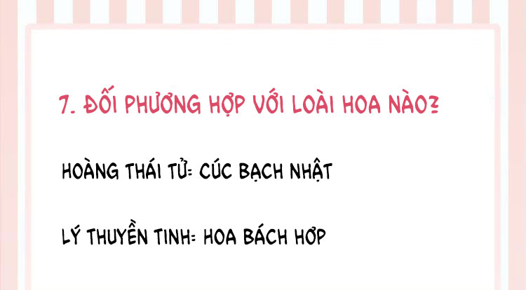 Tình Đầu Của Hoàng Thái Tử Phiên Ngoại - Next Văn Án