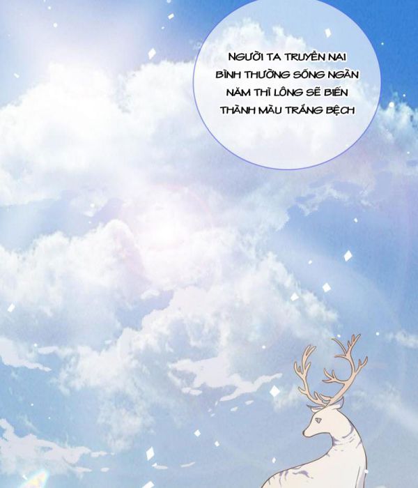 Phù Ảnh Trục Tâm Chap 16 - Next Chap 17