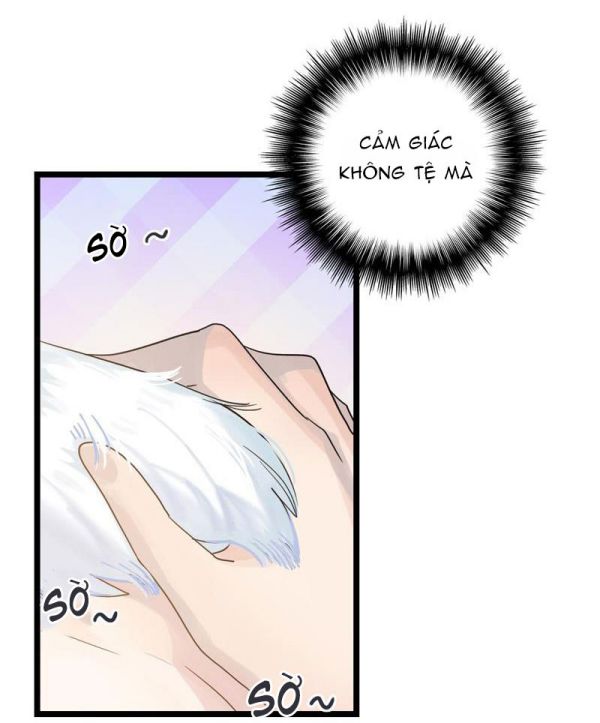 Phù Ảnh Trục Tâm Chap 19 - Next Chap 20