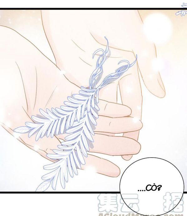 Phù Ảnh Trục Tâm Chap 19 - Next Chap 20