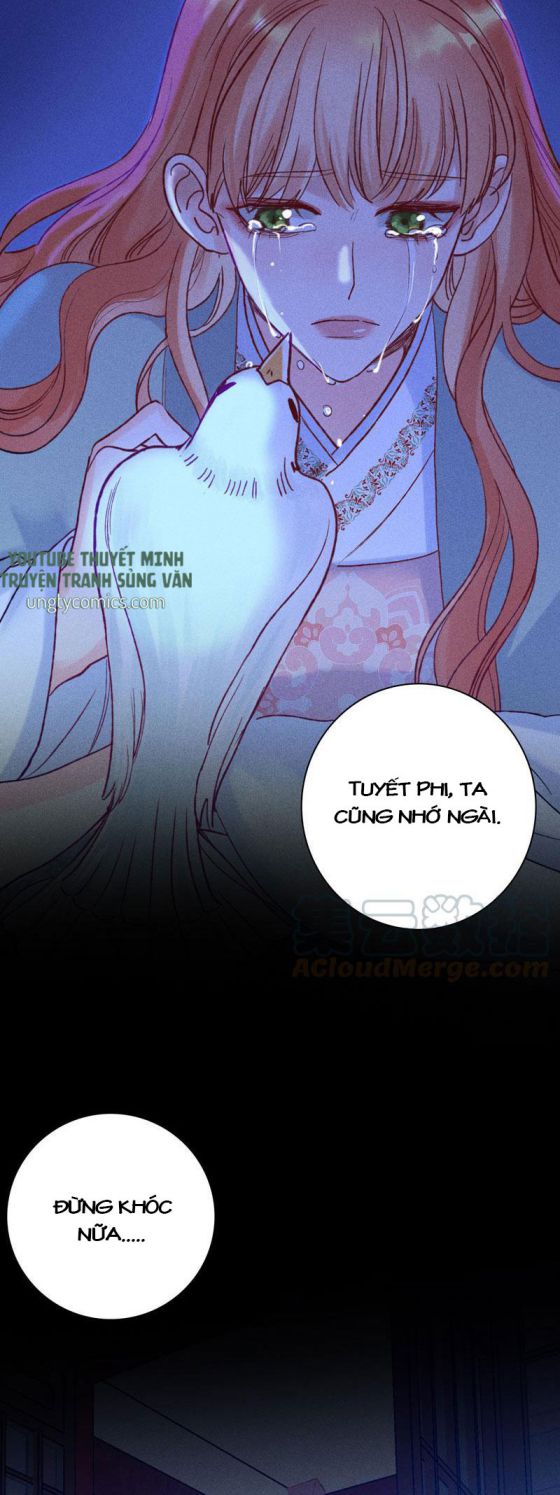 Phù Ảnh Trục Tâm Chap 28 - Next Chap 29