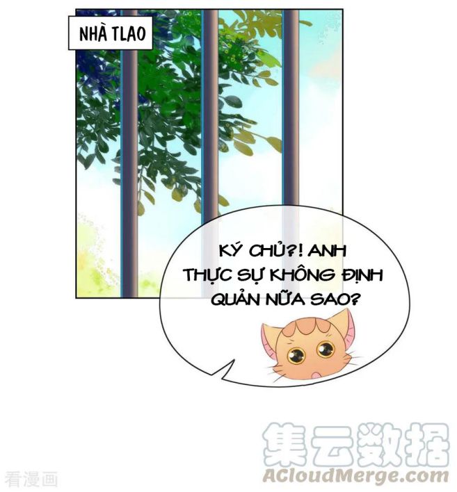 Tôi Cùng Nữ Chủ Mary Sue Tranh Giành Bạn Trai Chap 48 - Next Chap 49