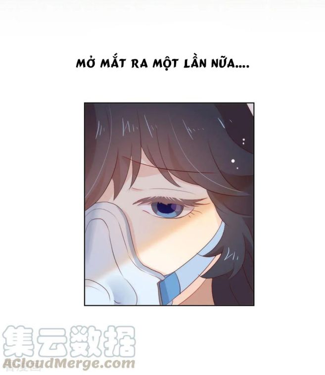 Tôi Cùng Nữ Chủ Mary Sue Tranh Giành Bạn Trai Chap 50 - Next Chap 51