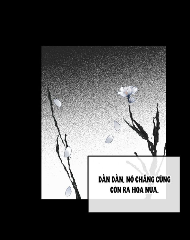 Tôi Cùng Nữ Chủ Mary Sue Tranh Giành Bạn Trai Chap 72 - Next Chap 73