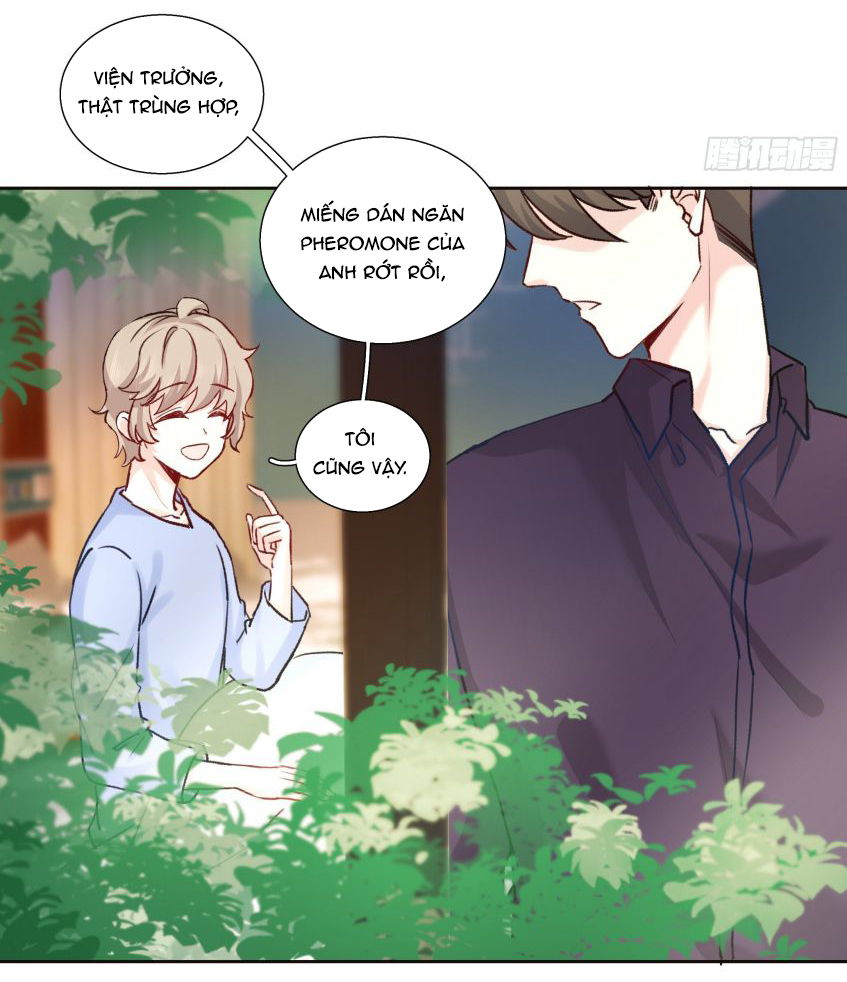 Tôi Hoài Nghi Em Yêu Thầm Tôi Chap 14 - Next Chap 15