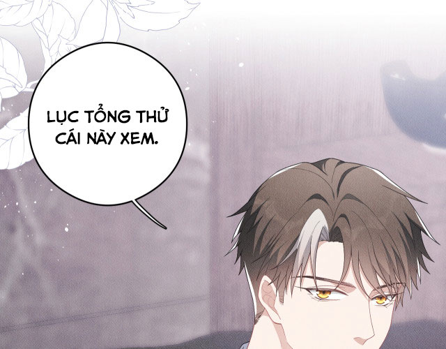 Trói Chặt Sói Của Tôi Chapter 13 - Next Chapter 14