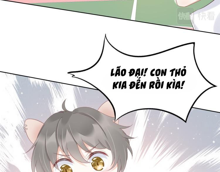 Một Ngụm Ăn Thỏ Chap 2 - Next Chap 3