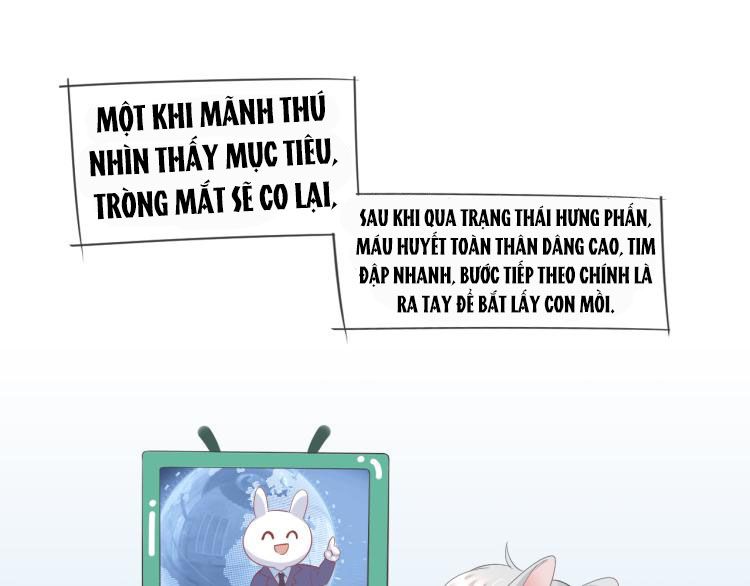 Một Ngụm Ăn Thỏ Chap 2 - Next Chap 3