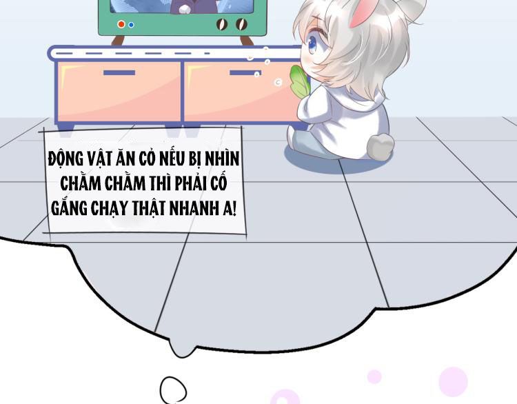 Một Ngụm Ăn Thỏ Chap 2 - Next Chap 3