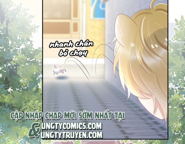 Một Ngụm Ăn Thỏ Chap 3 - Next Chap 4