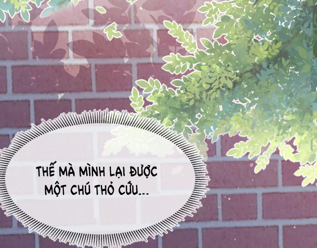 Một Ngụm Ăn Thỏ Chap 3 - Next Chap 4