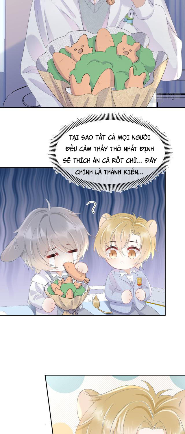 Một Ngụm Ăn Thỏ Chap 6 - Next Chap 7