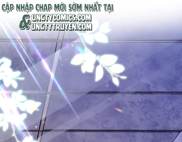 Nhân Ngư Rơi Xuống Chapter 2 - Next Chapter 3