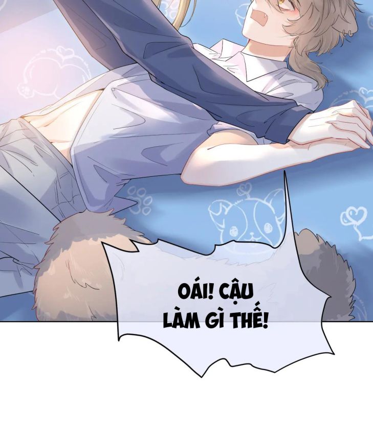 Một Ngụm Ăn Thỏ Chap 13 - Next Chap 14