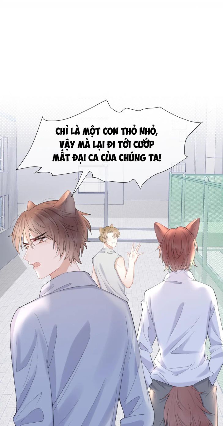 Một Ngụm Ăn Thỏ Chap 15 - Next Chap 16