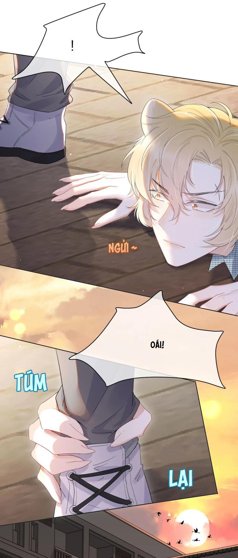 Một Ngụm Ăn Thỏ Chap 16 - Next Chap 17