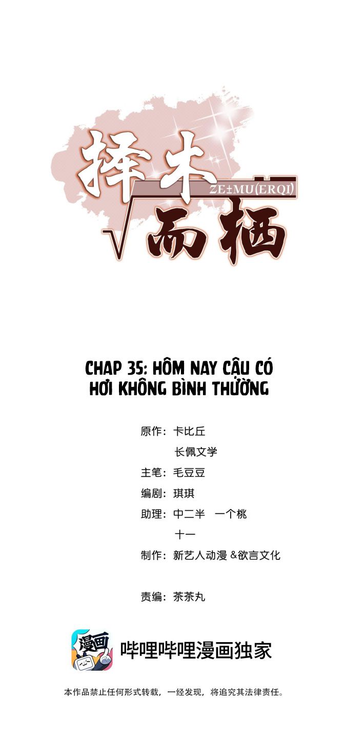 Trạch Mộc Nhi Tê Chapter 35 - Next Chapter 36
