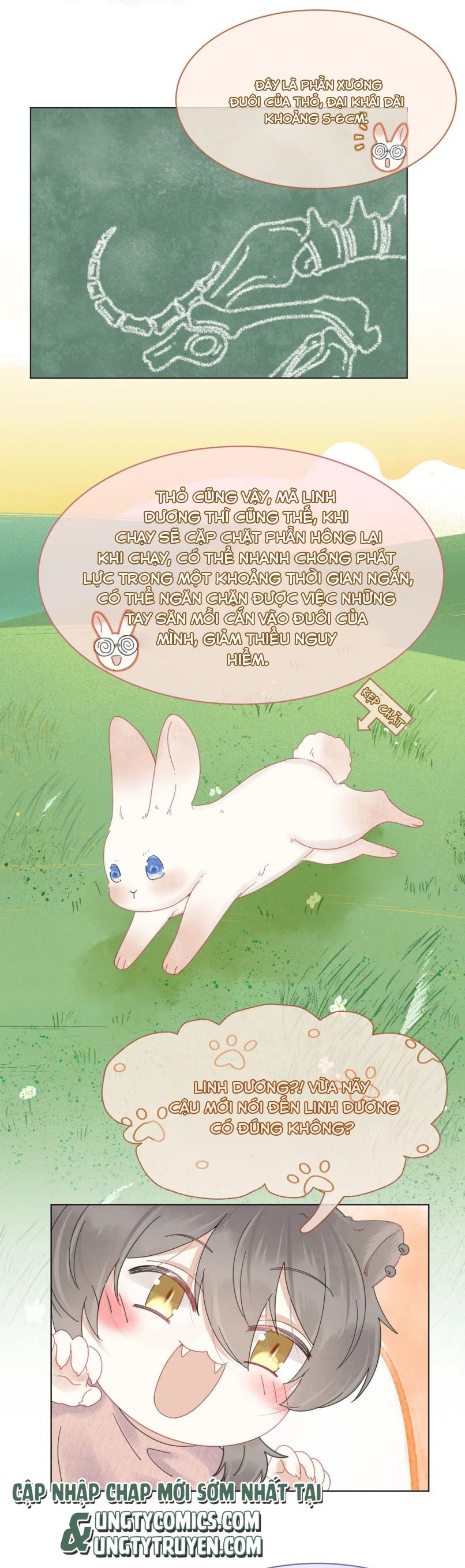 Một Ngụm Ăn Thỏ Chap 25 - Next Chap 26