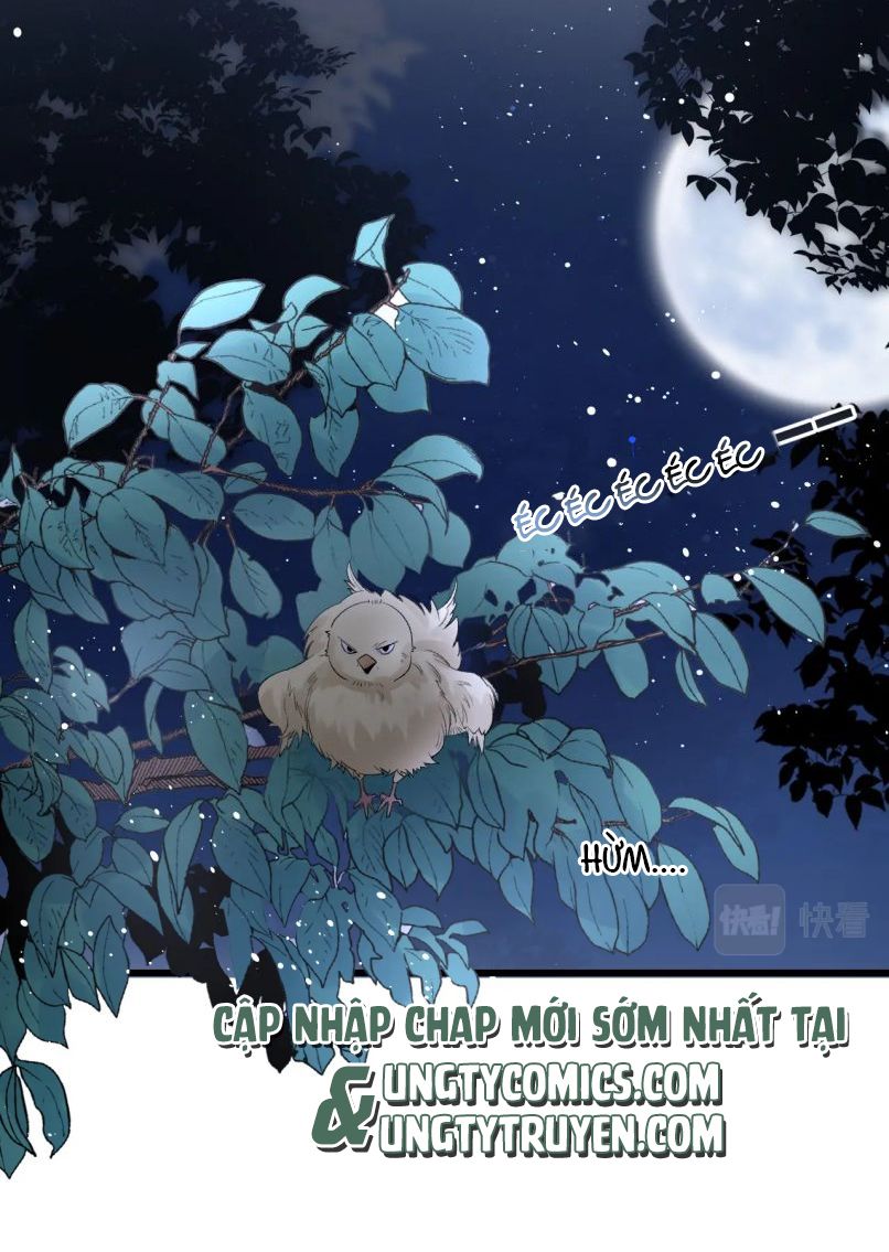 Nội Thị Mỗi Ngày Đều Muốn Cách Xa Hoàng Thượng Chap 22 - Next Chap 23