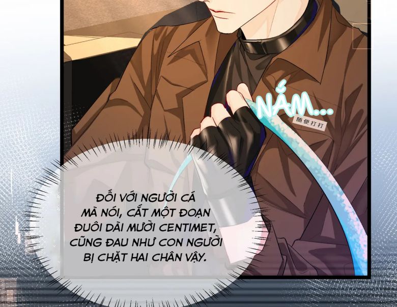 Nhân Ngư Rơi Xuống Chapter 10 - Next Chapter 11