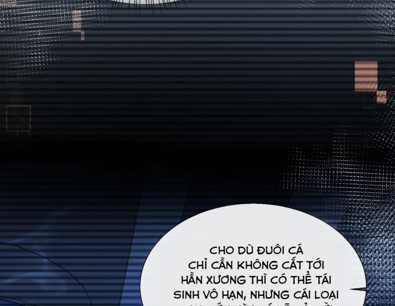 Nhân Ngư Rơi Xuống Chapter 10 - Next Chapter 11