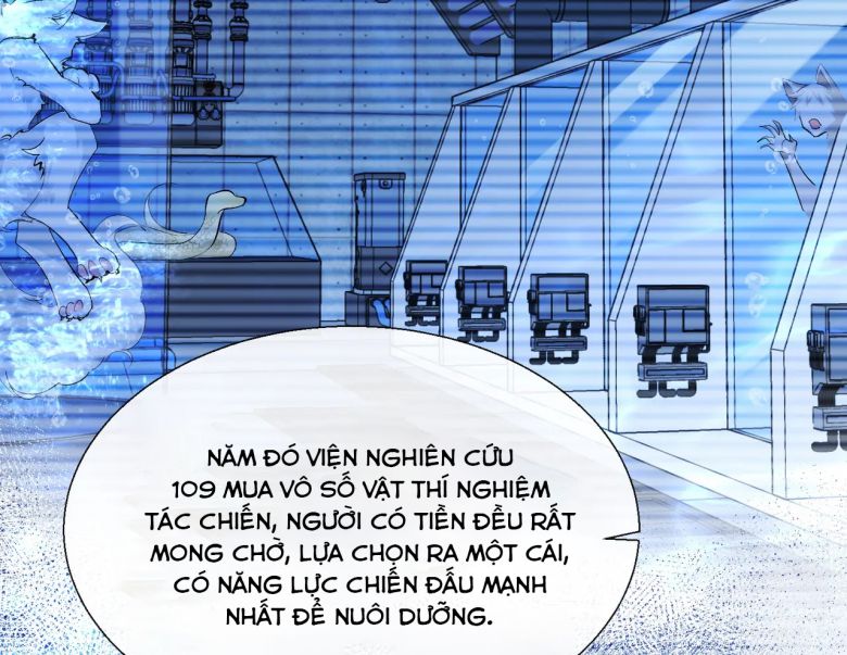 Nhân Ngư Rơi Xuống Chapter 10 - Next Chapter 11