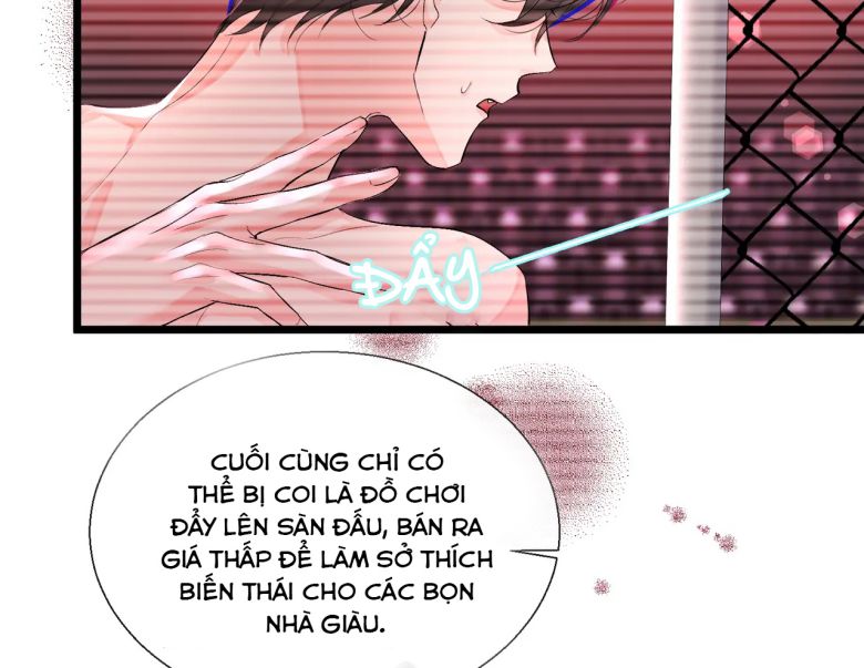Nhân Ngư Rơi Xuống Chapter 10 - Next Chapter 11