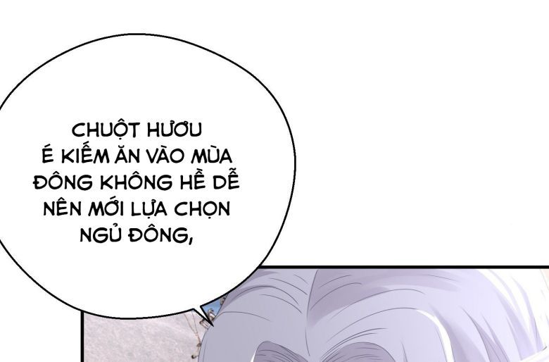 Dập Hoa Lục Chap 40 - Next Chap 41