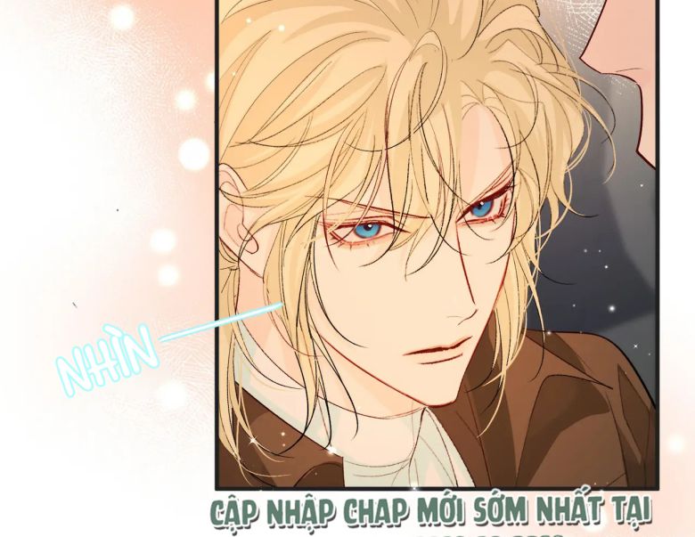 Nhân Ngư Rơi Xuống Chapter 12 - Next Chapter 13