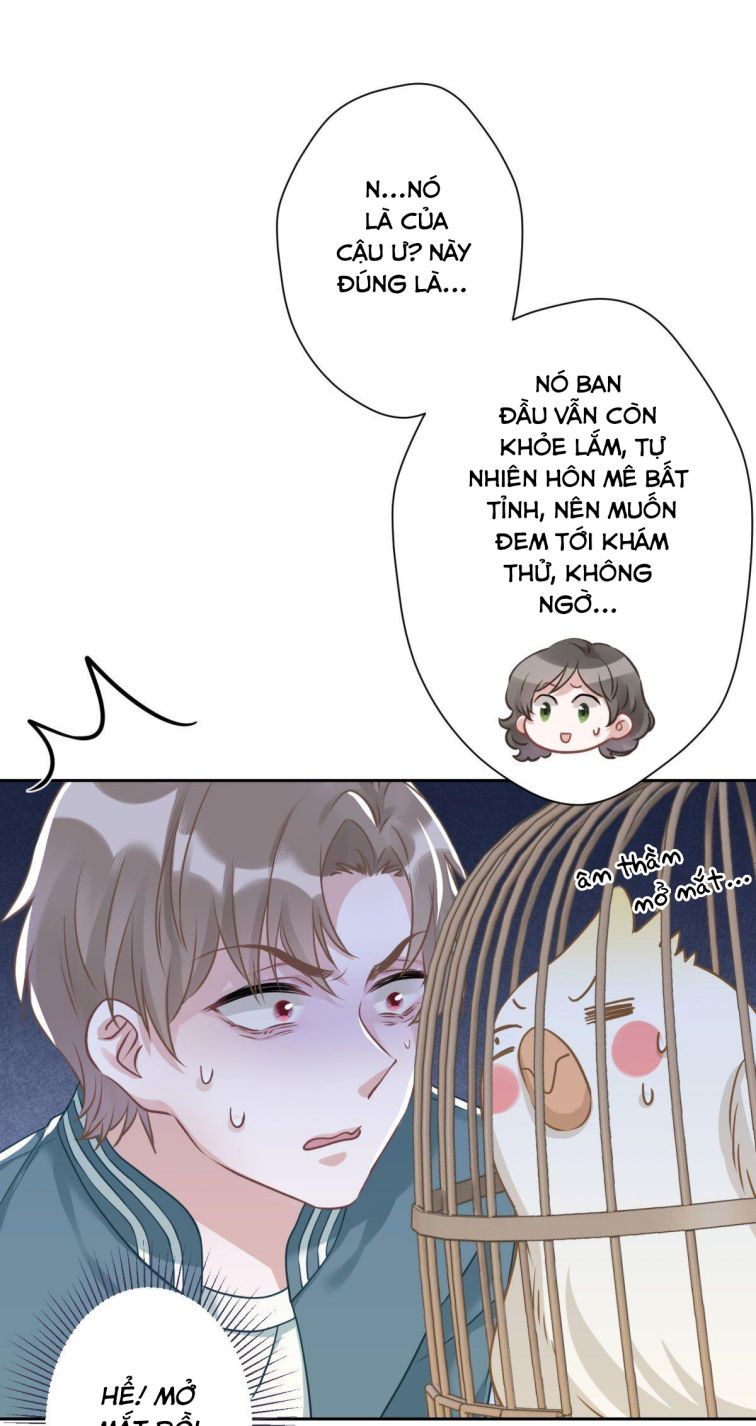 Mèo Con Đừng Liếm Tôi Chap 7 - Next Chap 8