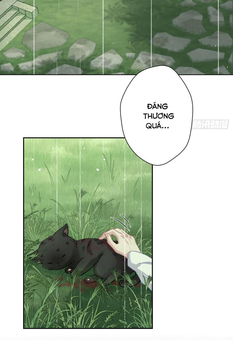 Mèo Con Đừng Liếm Tôi Chap 7 - Next Chap 8