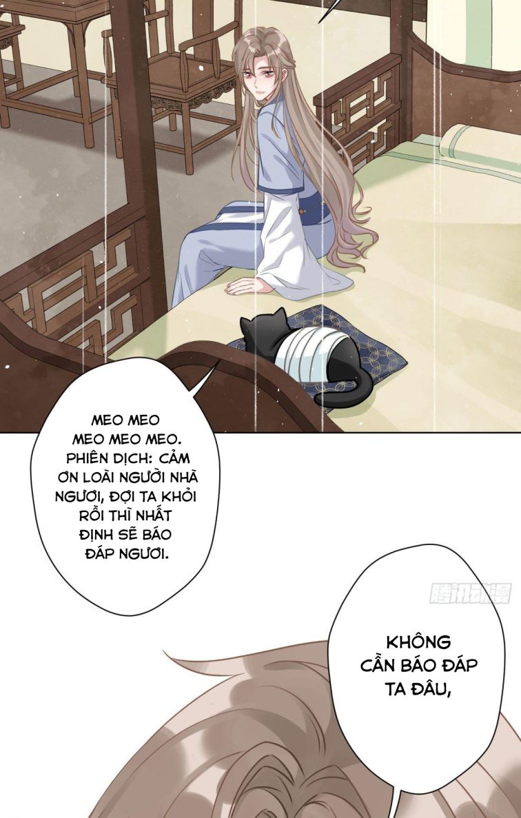 Mèo Con Đừng Liếm Tôi Chap 7 - Next Chap 8