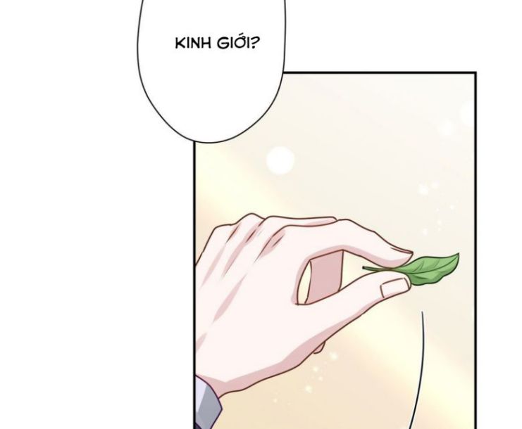 Mèo Con Đừng Liếm Tôi Chap 8 - Next Chap 9