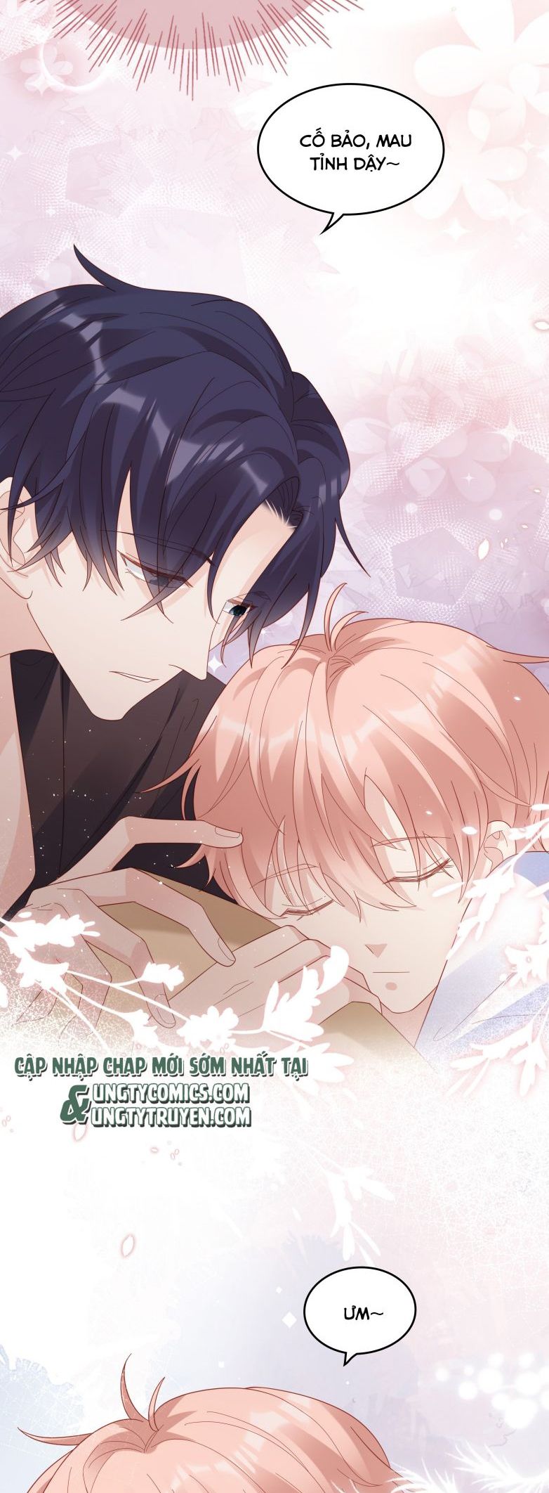 Bùi Bảo Chapter 39 - Next Chapter 40