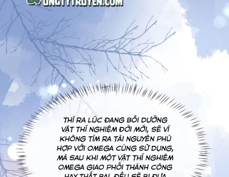 Nhân Ngư Rơi Xuống Chapter 14 - Next Chapter 15