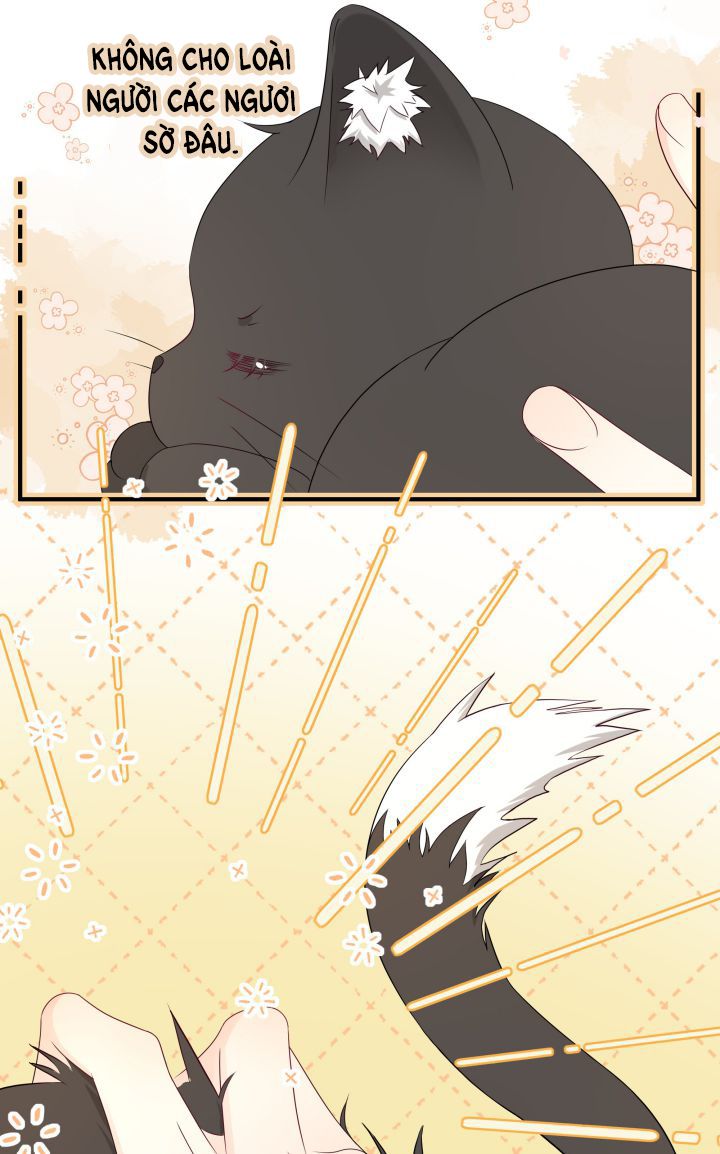 Dinh Dưỡng Quá Tốt Chapter 2 - Next Chapter 3