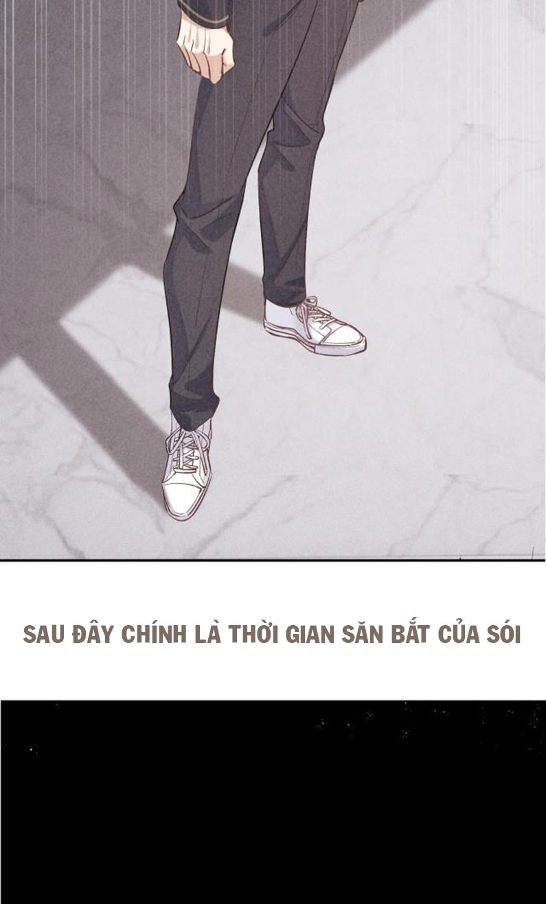 Trò Chơi Săn Bắn Văn Án - Next Chap 1