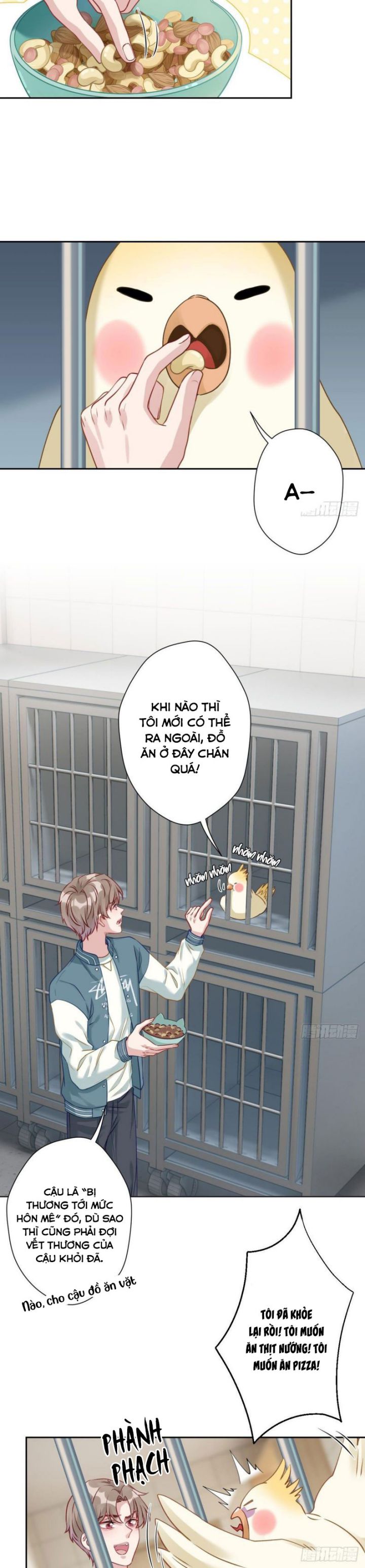 Mèo Con Đừng Liếm Tôi Chap 12 - Next Chap 13