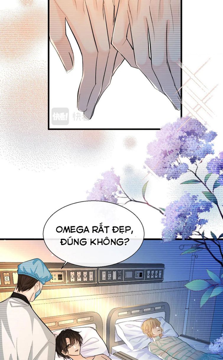 Nhân Ngư Rơi Xuống Chapter 16 - Next Chapter 16