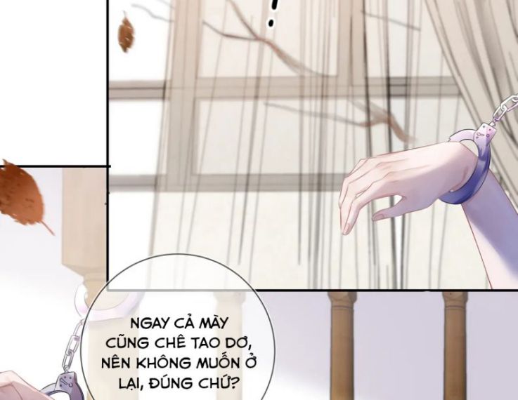 Mạnh mẽ công chiếm Chapter 23 - Next Chapter 24