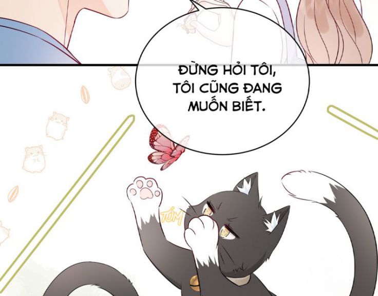 Dinh Dưỡng Quá Tốt Chapter 6 - Next Chapter 7