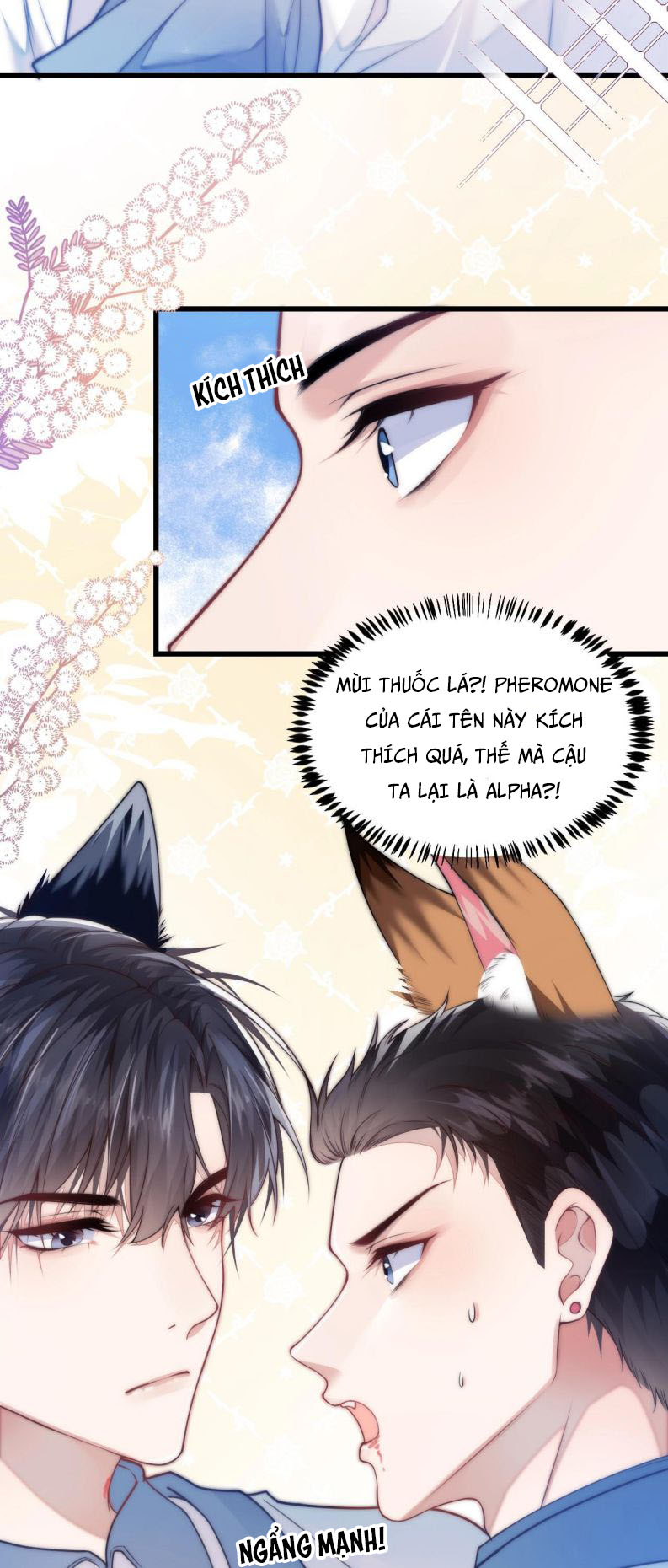 Tiểu Dã Miêu Của Học Bá Thật Trêu Người Chapter 2 - Next Chapter 3
